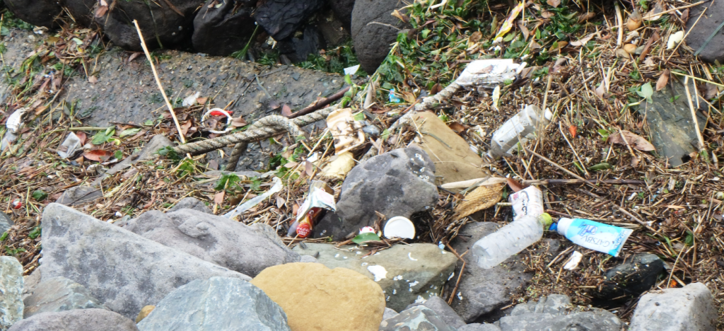 博多湾海岸のゴミ